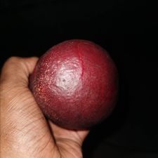 Profile image of Ragi.Rs
