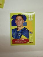 Panini Sticker Nikola Katić, BIH 7