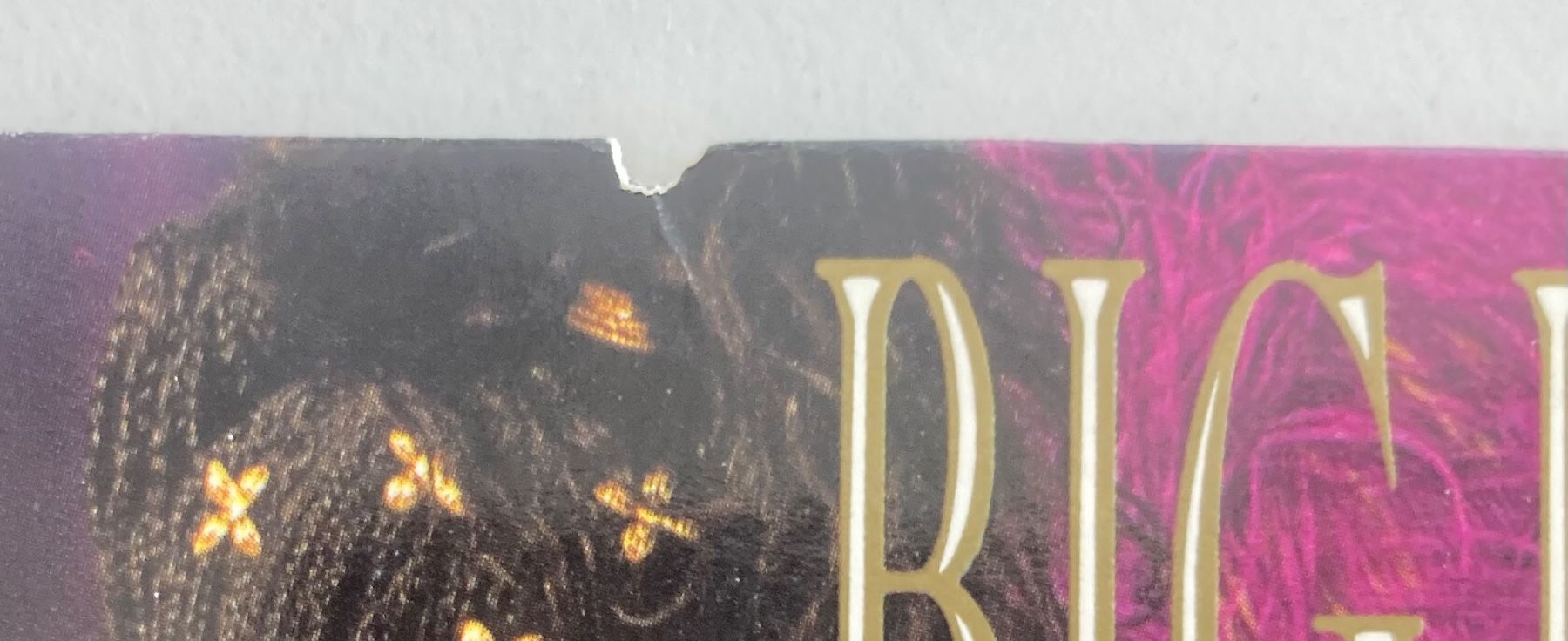Dischi in vinile: BIG DADDY KANE - LONG LIVE THE KANE – Usato da Poliez-Pittet venduto da Newtown-Records 3
