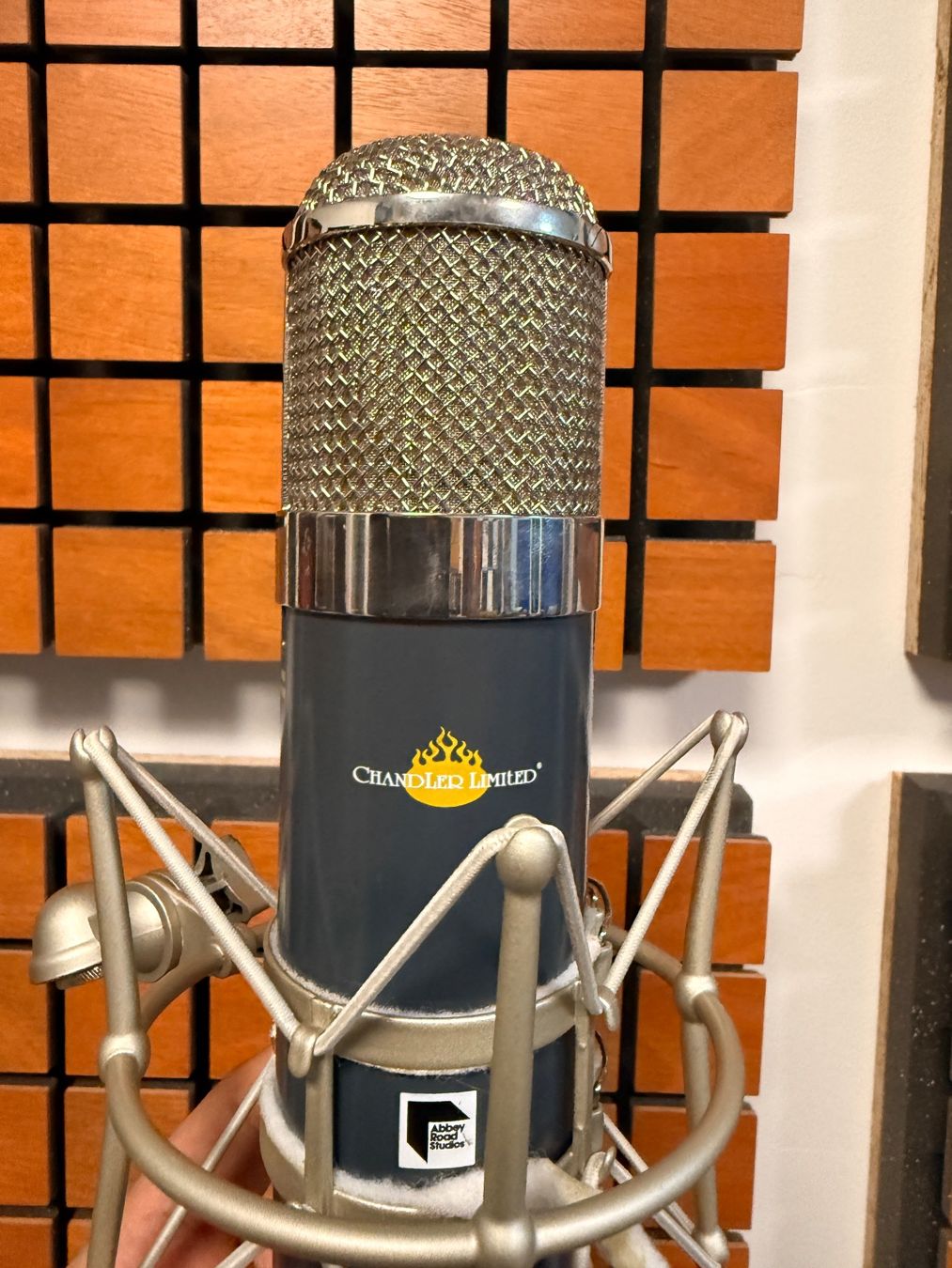 Microfoni: Chandler Limited TG Microphone Studio – Usato da Villars-sur-Glâne venduto da Claziko16