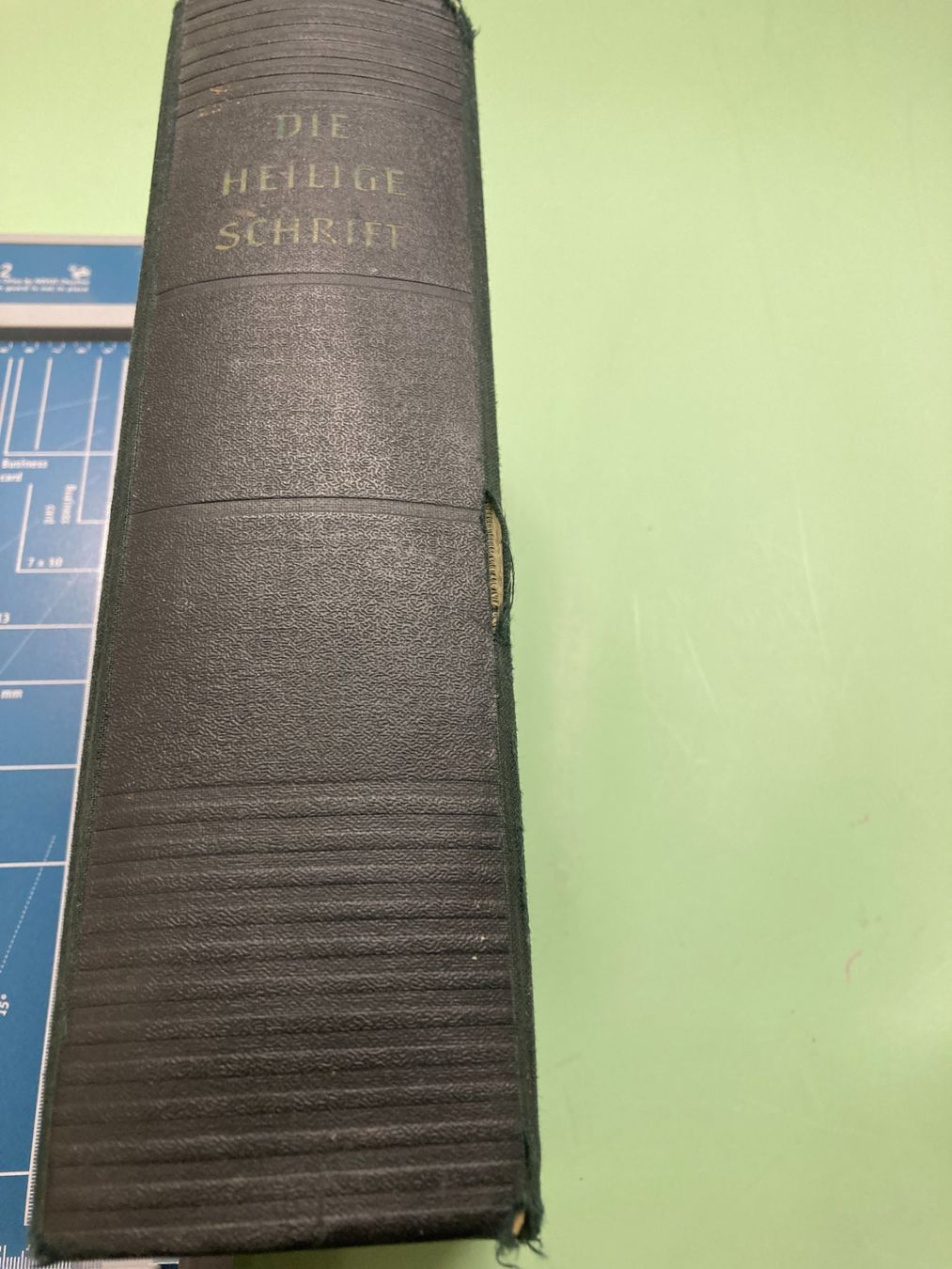 Libri: Die Heilige Schrift, Antike Bibel – Usato da Bauma venduto da Hmuggi 1