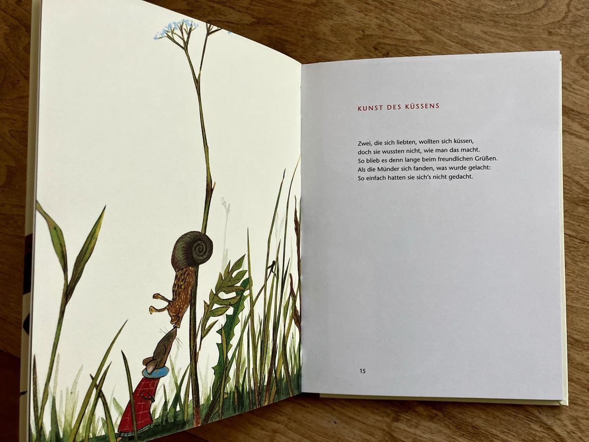 Libri: Zwei, die sich lieben – Usato da Buchs AG venduto da Allerleis 3