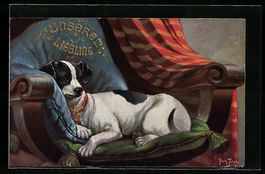 Arthur Thiele: Jack-Russel-Terrier schl