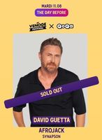 Venoge festival mardi 11.08 David Guetta