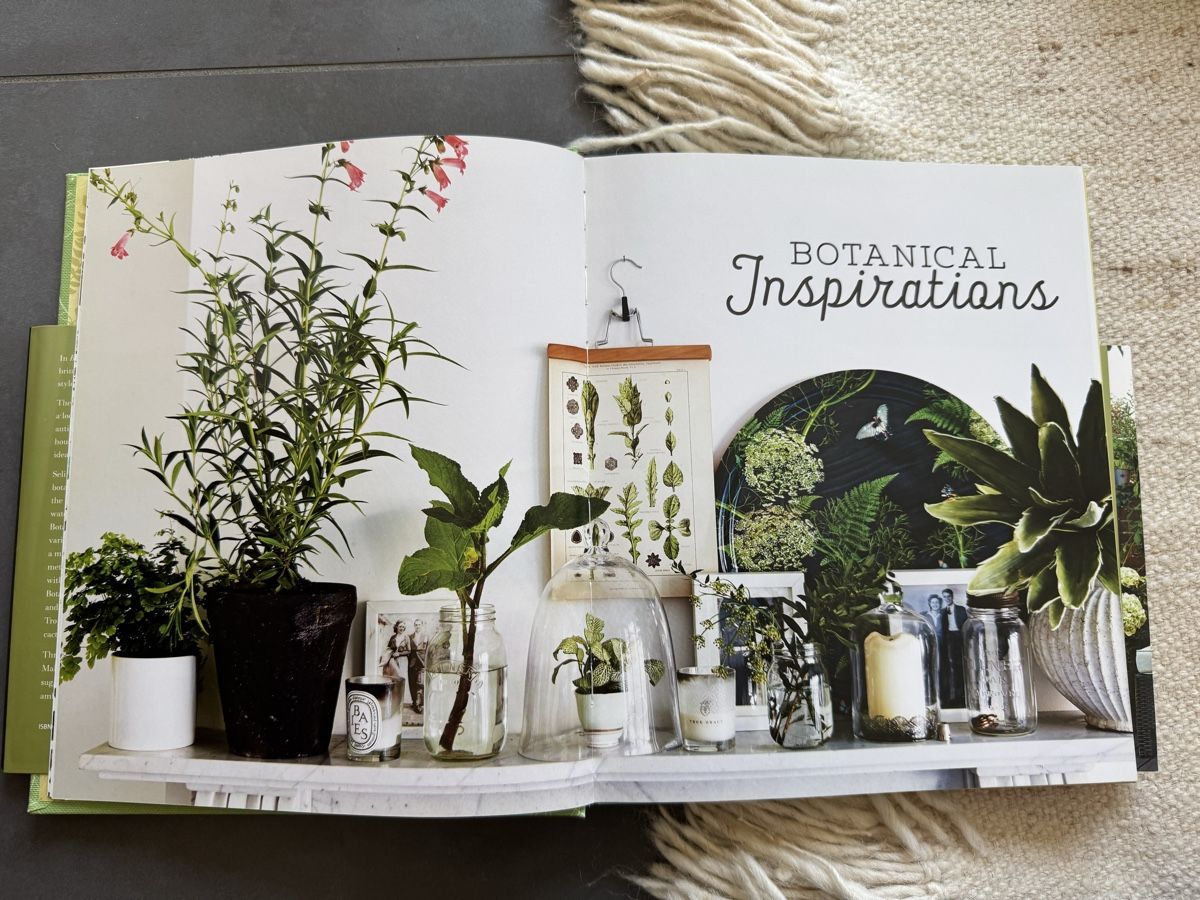 Libri: Botanical Style Book - Excellent Condition! – Nuovo (secondo la descrizione) da Zürich venduto da lui_ns5h 2