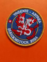 Badge Friendenskonferenz Patch Bürgenstock