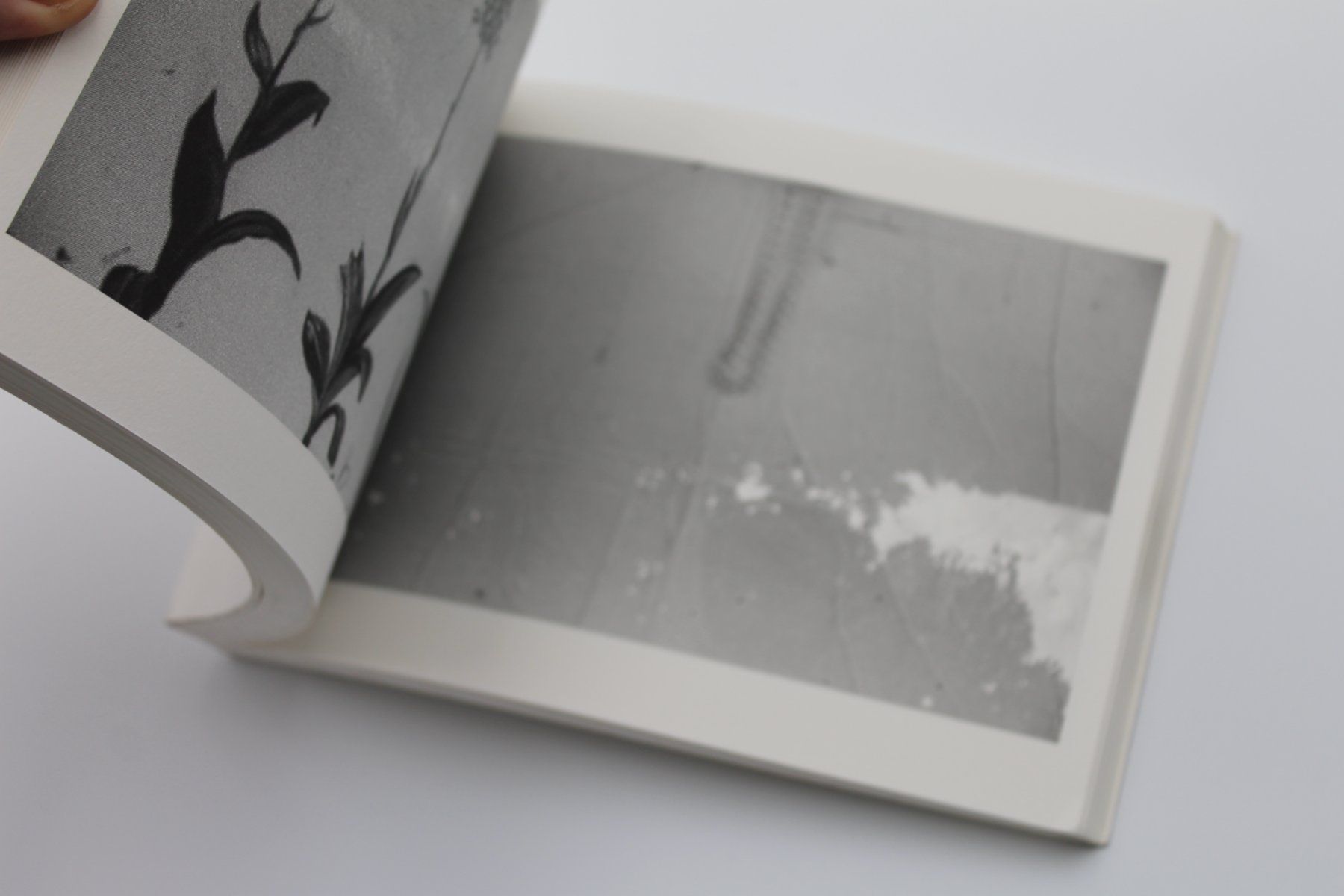 Libri: Arakanga – Claudio Moser – Usato da Lachen SZ venduto da ratata 2