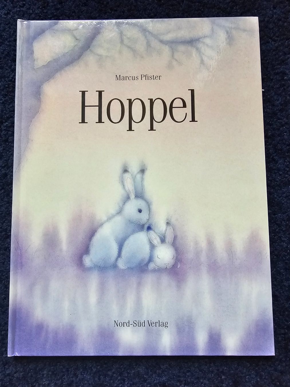 Libri: Hoppel Kinderbuch – Usato da Balterswil venduto da Dikdik1992