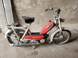 GoGo Batavus Mofa Moped Oldtimer Scheunenfund