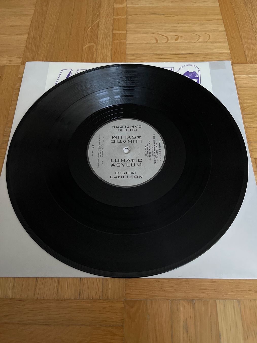 Schallplatten: Lunatic Asylum Hard Trance Vinyl – Gebraucht aus Wangen b. Olten von break72 1