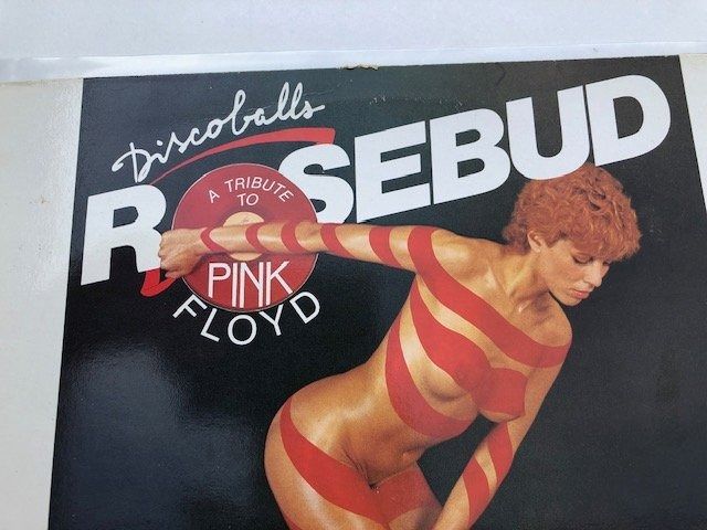 Dischi in vinile: Pink Floyd Tribut Cover Band – Usato da Aarwangen venduto da Jukebox3 1