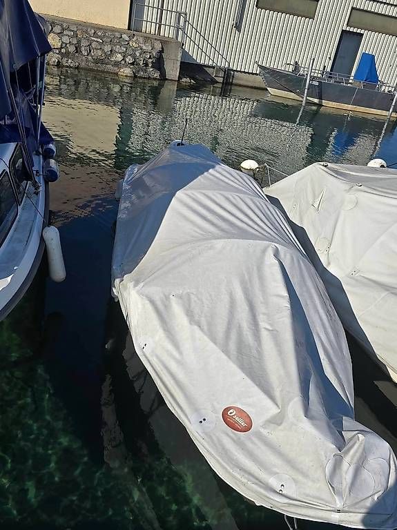 Barche: Bateau de pêche ou loisirs – Usato da Fribourg venduto da leu_pn8k 1