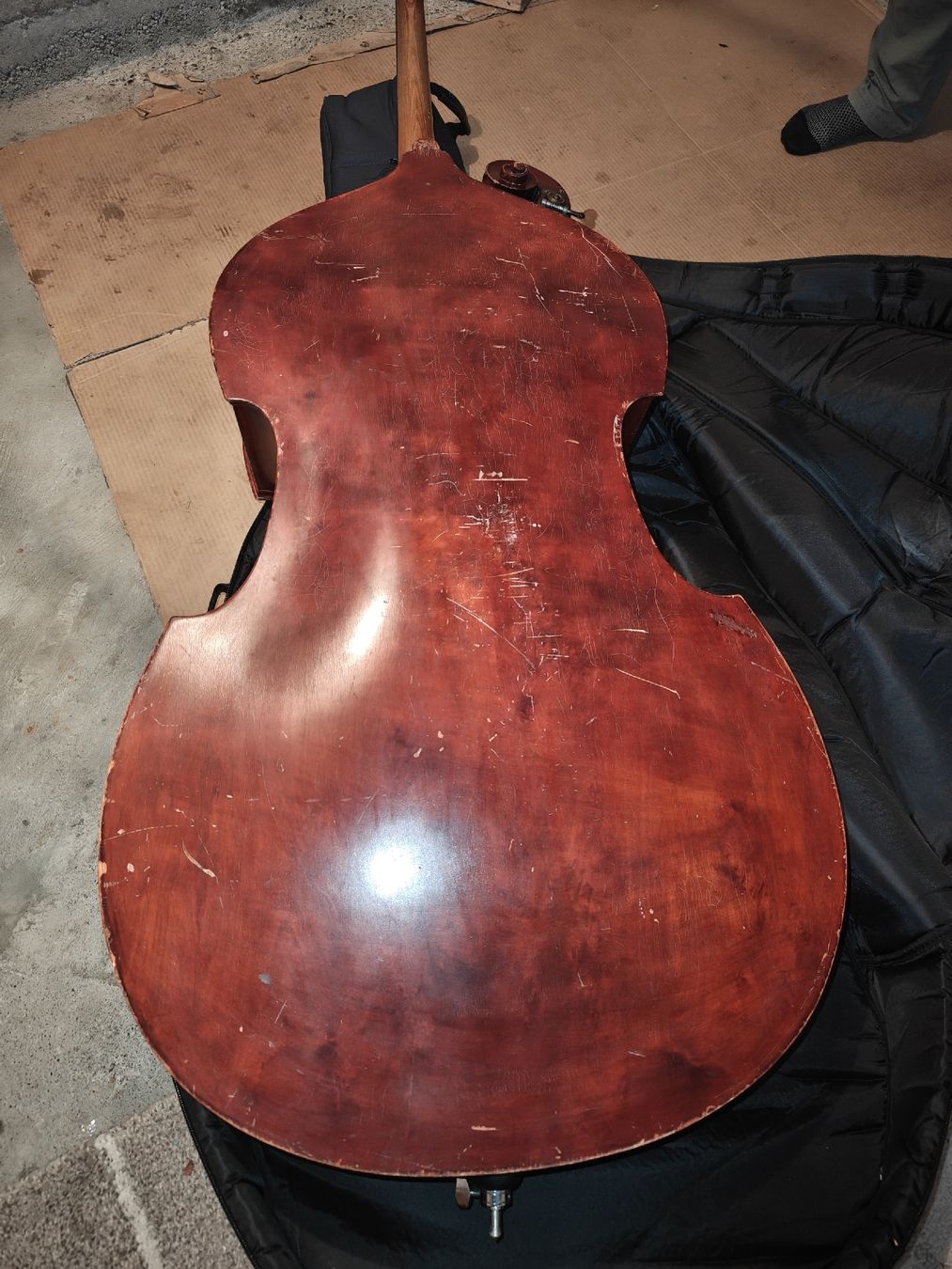 Instruments de musique: Kontrabass  Defekt – Défectueux à Boniswil par Alessio42 6