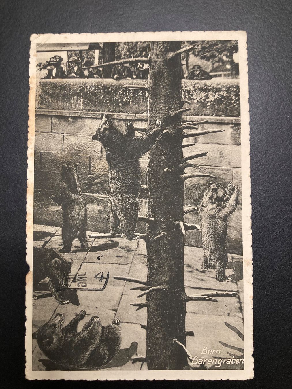 Cartoline postali: 1913, Postkarte Bern, Bärengraben – Usato da Zug venduto da YvonneBa48