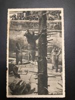 1913, Postkarte Bern, Bärengraben