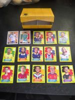 Panini