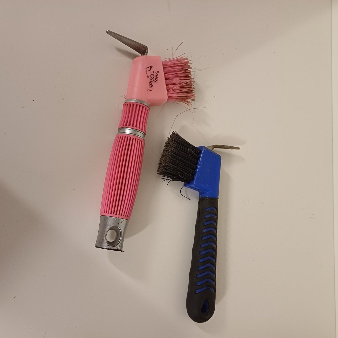 Altre attrezzature per stalle: Cure pieds 2 pcs avec brosse – Usato da Villeneuve VD venduto da vog_yc5s 1