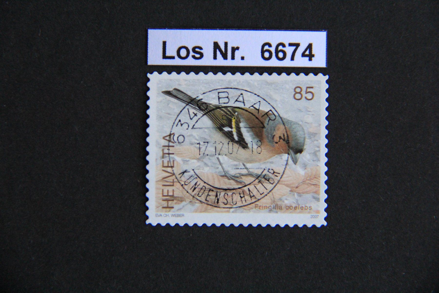 Tutti i francobolli: CH 2007 sauberer Vollstempel                        Los 6674 – Usato da Volken venduto da jukon65