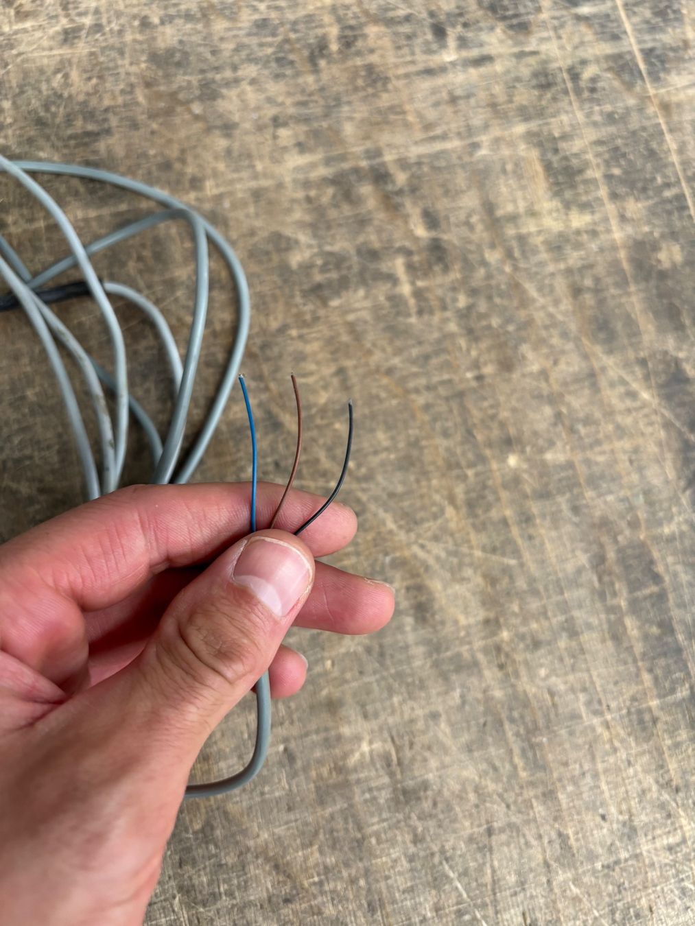 Elektronikbauteile: Annäherungsschalter – Gebraucht aus Amriswil von MTTGMBH 1