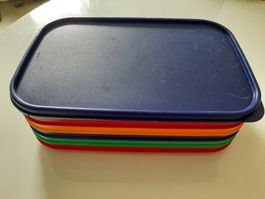 Tupperware Picknickteller 6 Stücke 