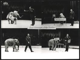 Fotografie Hans Kossmayer mit Elefant Ba