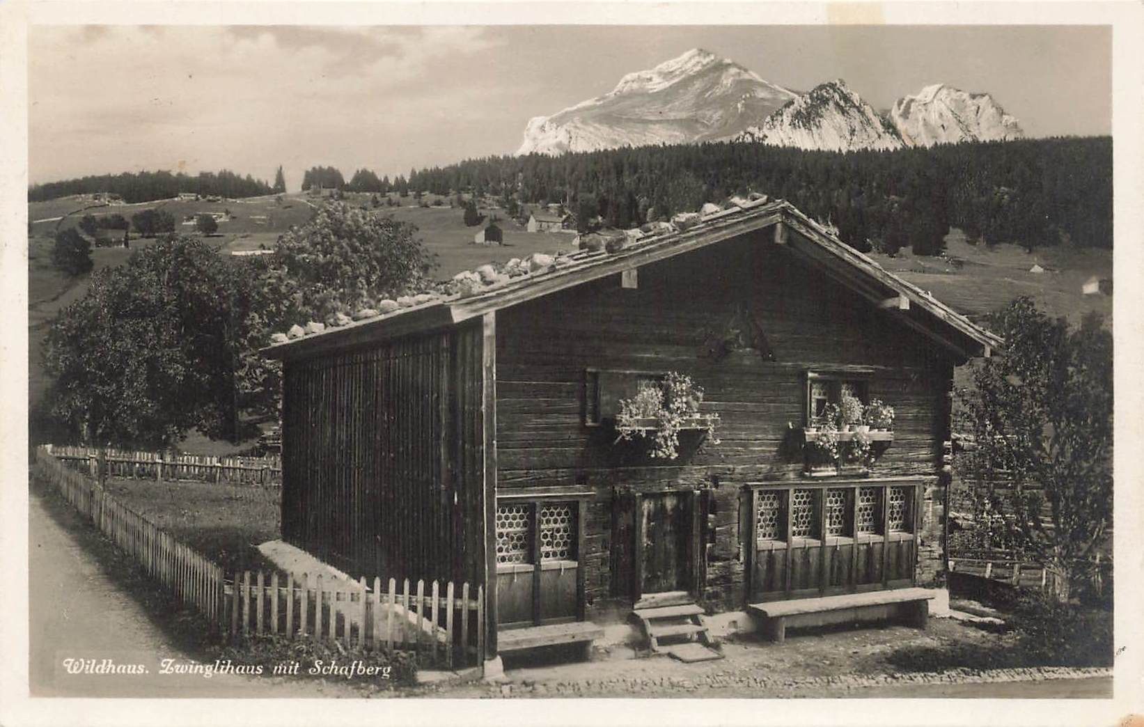 Cartoline postali: Wildhaus lwinglihaus mit Schafberg – Usato da Biasca venduto da Blenio71
