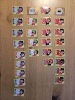 Panini world cup 2026