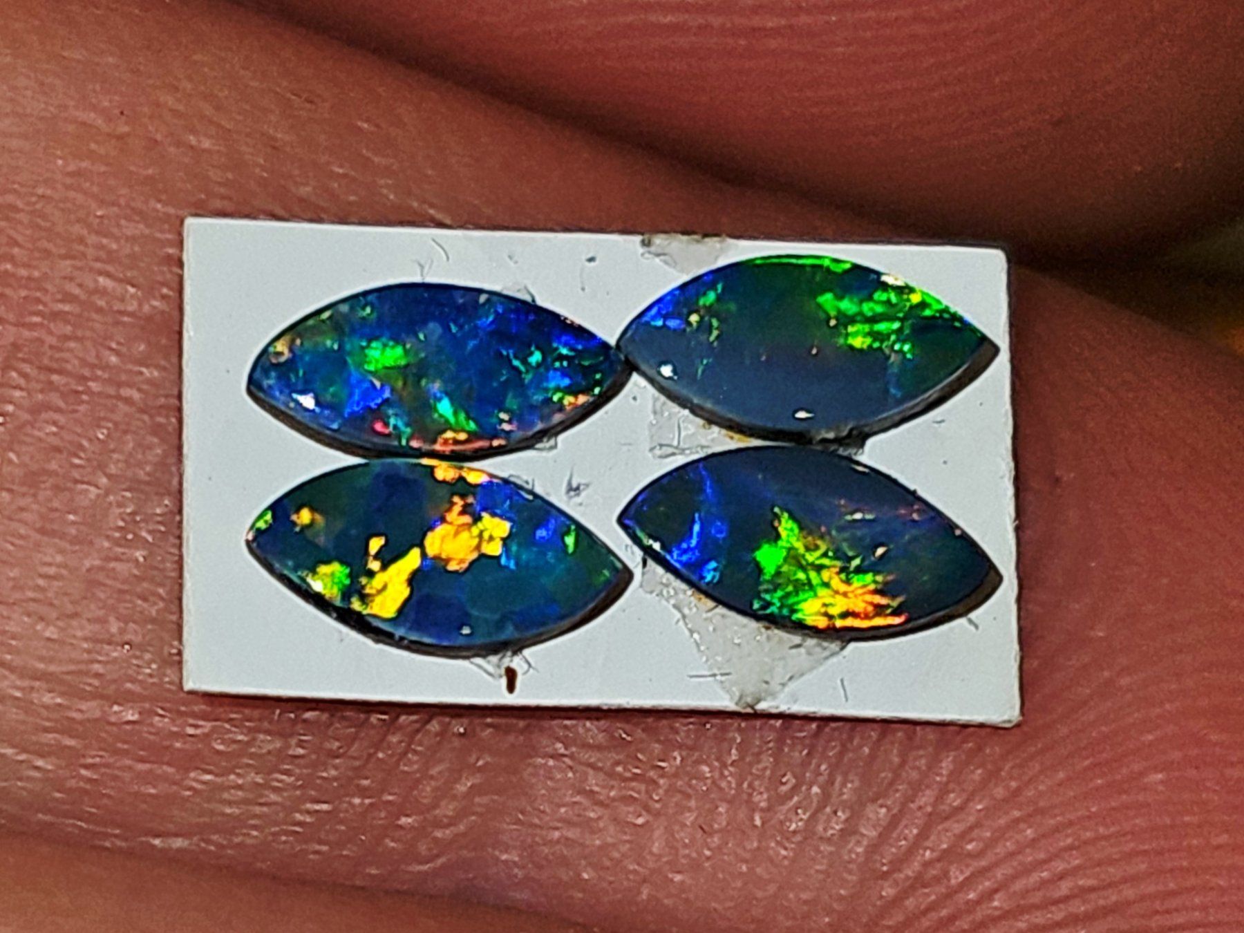 Pietre preziose: 4 Australische Opal Dubletten – Nuovo e nell'imballaggio originale da Uerkheim venduto da Winwinner 5
