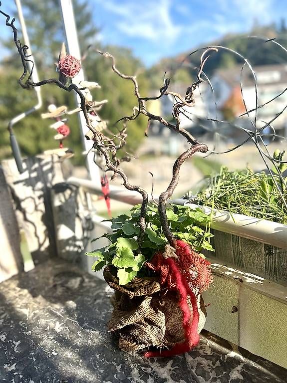 Kleider: Glockenblumen im Sonntagskleid  – Neu und originalverpackt aus Frauenfeld von ire_q29k 2