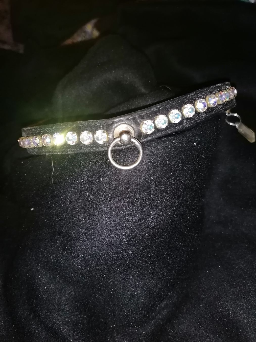 Guinzagli & Collari: Glitzerndes Halsband, Leder, Strass - auffälliger Blickfang! – Usato da Birrwil venduto da inf_2qrx