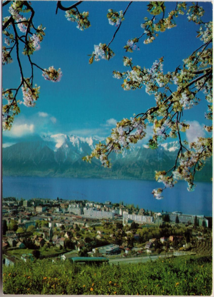 Cartoline postali: Vevey - Lac + Alpes de Savoie – Usato da Binningen venduto da Mountainrider