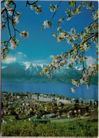 Vevey - Lac + Alpes de Savoie