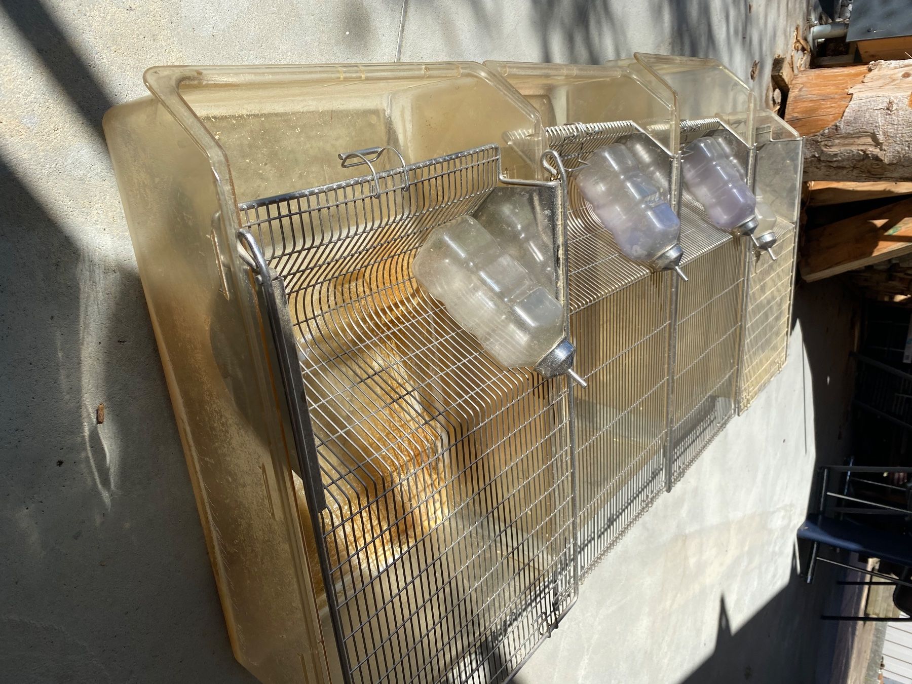 Gabbie, trasporto & Sicurezza: Makrolonbox (Nageraufzuchtbox) – Usato da Matzendorf venduto da Viridis02 1