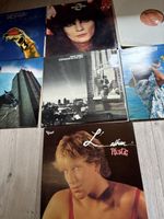 VINYL sammlung klein