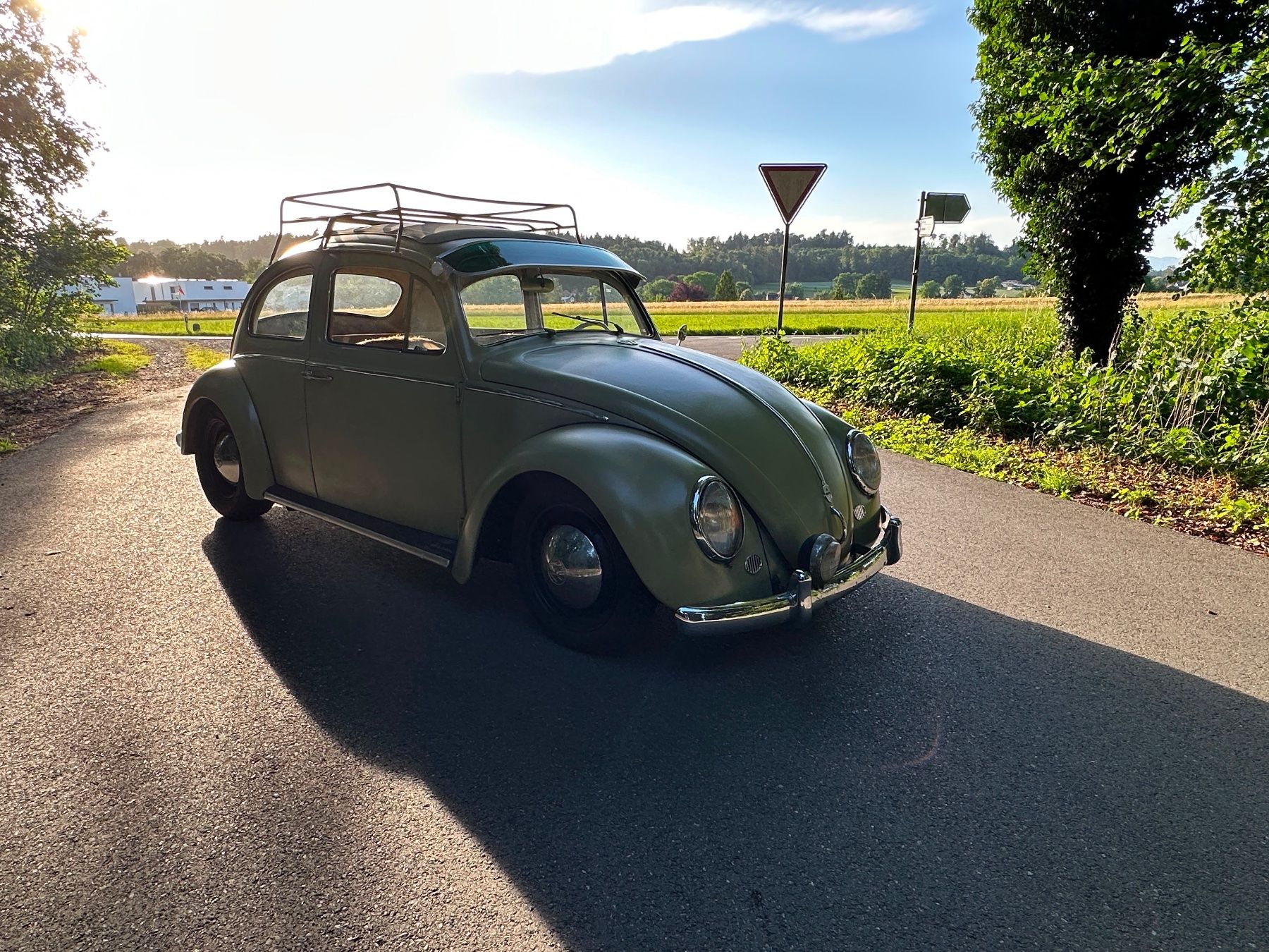 VW Automobili: VW Käfer Rat Look ab MFK ab 16999.00 – Usato da Liebistorf venduto da motocentergmbh 4