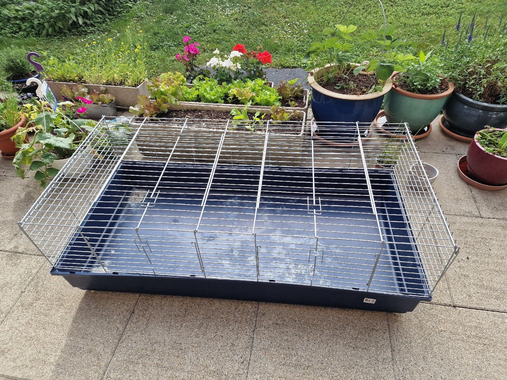 Gabbie, trasporto & Sicurezza: Rabbit cage – Usato da Zürich venduto da ziofamma