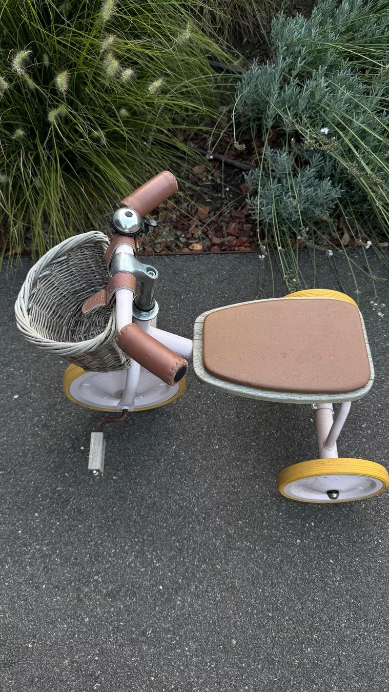 Veicoli per bambini: Kleinkindervelo mit Korb – Usato da Basel venduto da VIO100 3