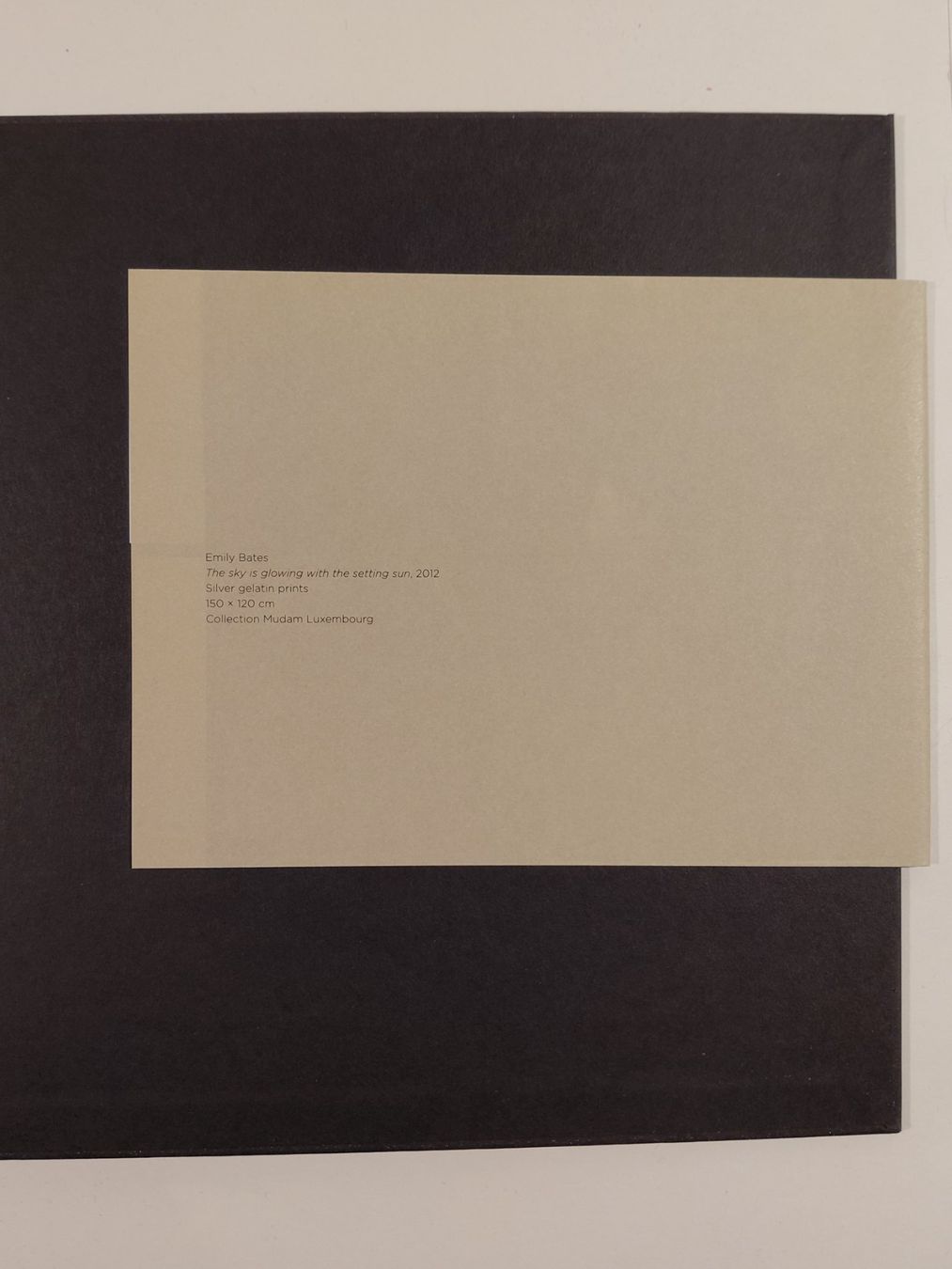 Libri: Emily Bates - The Sky Is Glowing With The Setting Sun – Usato da Winterthur venduto da SilverFR 3