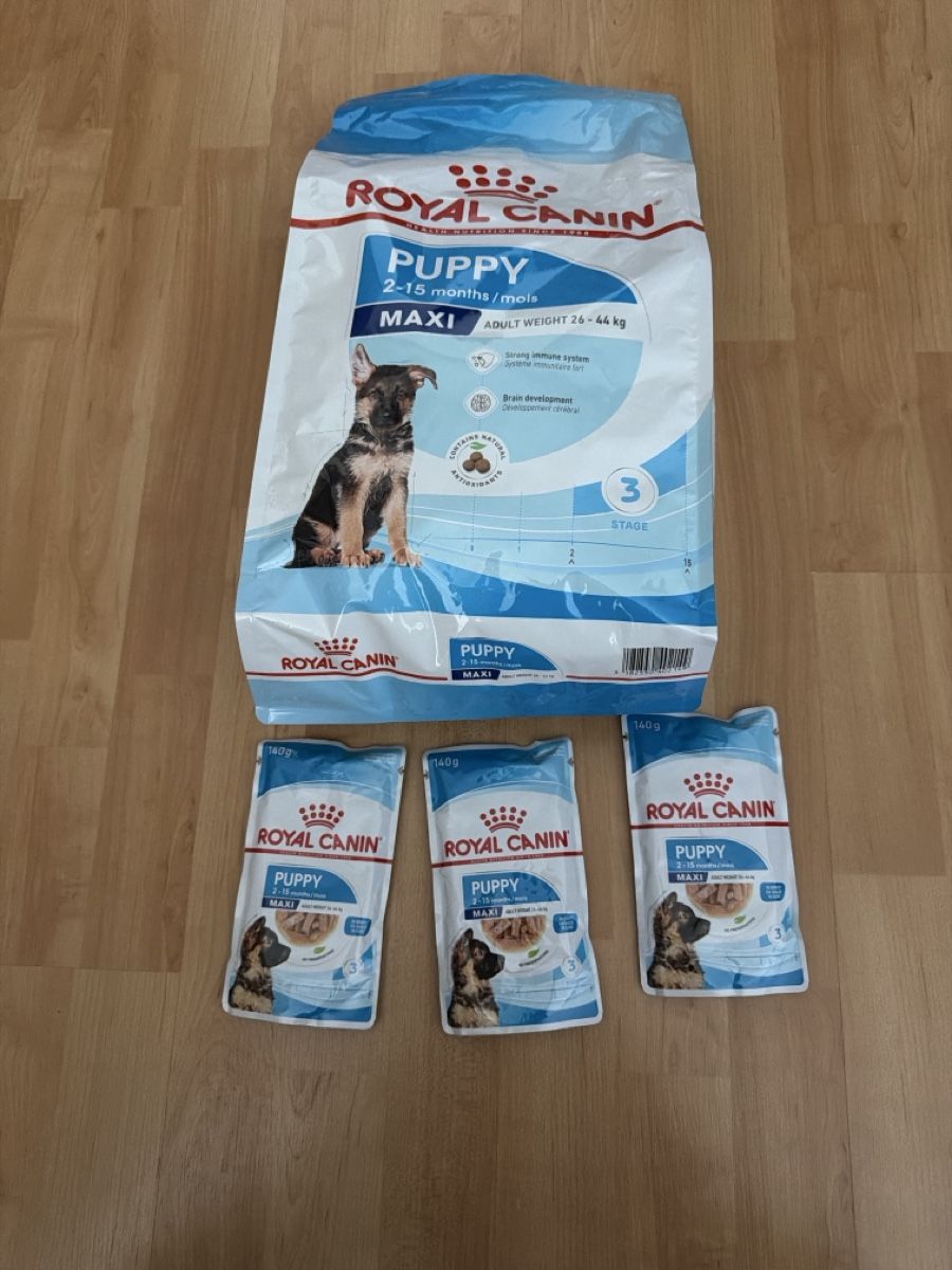 Royal Canin Mangimi: Royal canIn puppy maxi – Nuovo e nell'imballaggio originale da Lausanne venduto da sah_5wsx