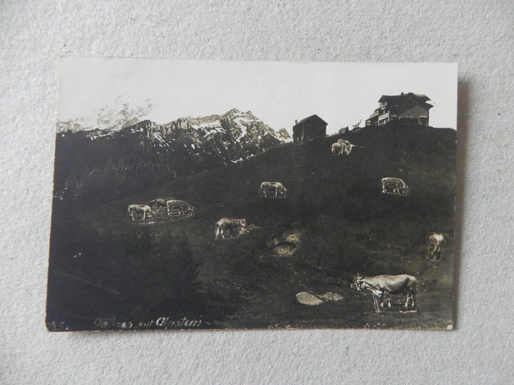 Cartoline postali: Karte Gäbris App. A. Hane Rorschach 1918 – Usato da Siebnen venduto da krimsie