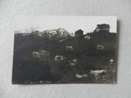 Karte Gäbris App. A. Hane Rorschach 1918