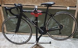 PRICE Road Lady Rennrad mit Carbon Rahmen