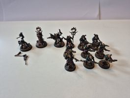 Warhammer Kill team Wyrmblade 