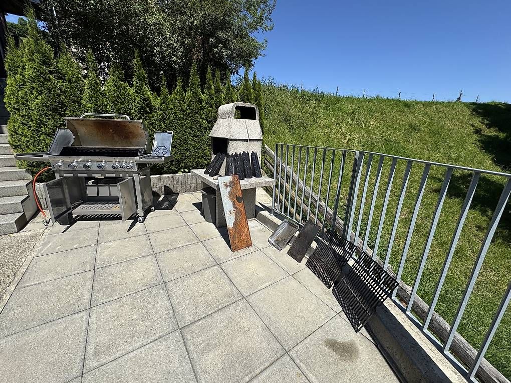 Grills: Gasgrill Edelstahl mit 6+1 Brenner – Gebraucht aus Hasle LU von FvF 3