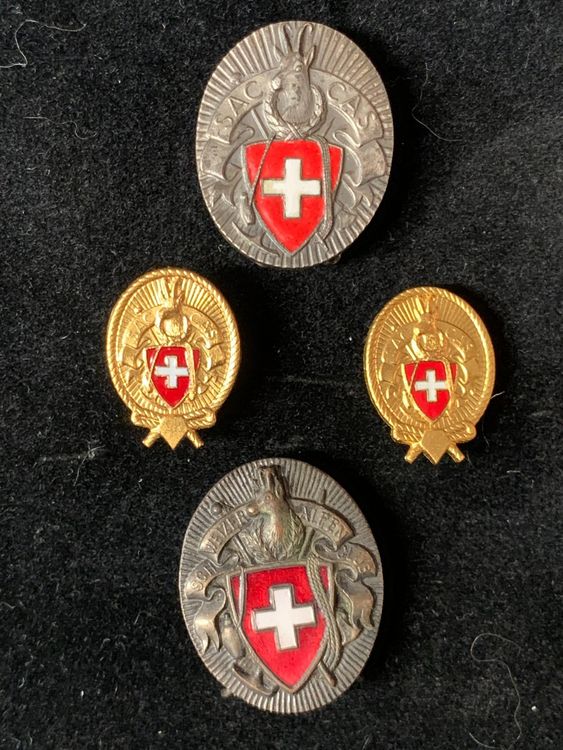 Div. SAC / CAS Abzeichen Kaufen auf Ricardo