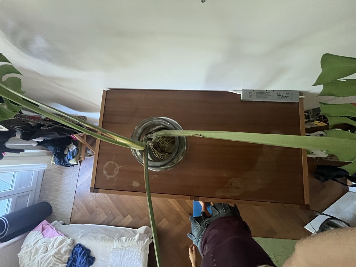 Armadi: vintage Holzschrank – Usato da Steffisburg venduto da viv_5tqt 7