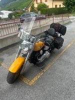 Magnifique Harley-Davidson FLSTF Softail