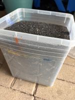 Quarzsand  im Kessel 25 cm hoch