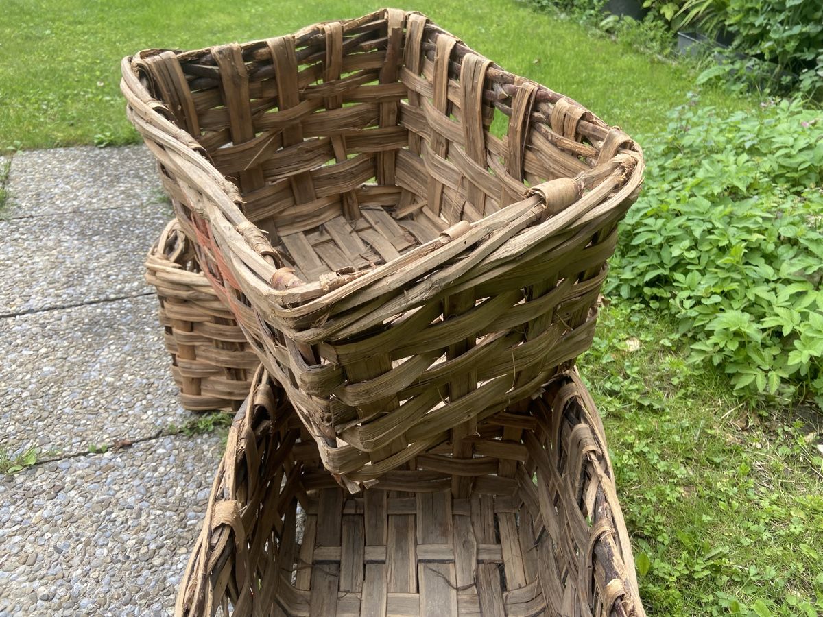 Autres articles pour la maison: Geflochtene NussbaumKorb – D'occasion à Seewen SO par Nordic-Old-Fashion 1