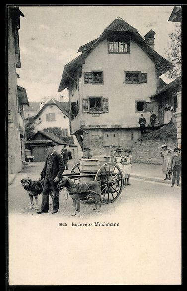 Cartoline postali: AK Luzern, Milchmann mit Hundegespann – Usato da Berlin venduto da bartko-reher